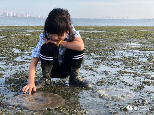 关于大海的宝藏，这位特别的小读者是这么学的！《Hi!赶海去》读后感 6