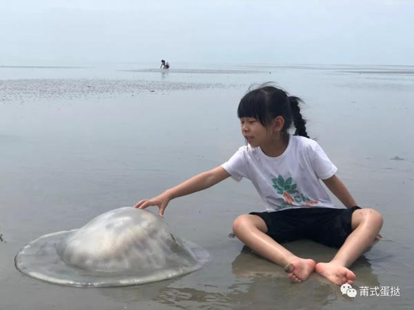 关于大海的宝藏，这位特别的小读者是这么学的！《Hi!赶海去》读后感 5