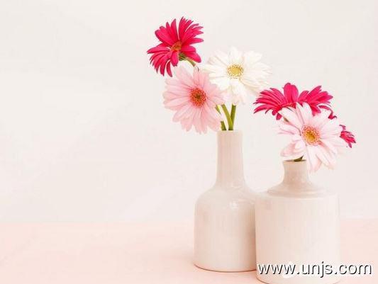 幸福的名言警句大全阅读