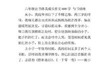 我与读书的作文600字：书缘