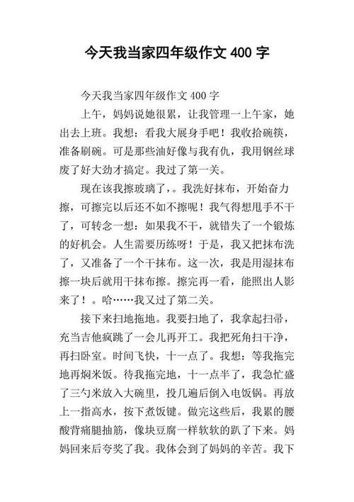 我当家 四年级我当家作文300字