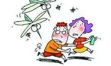 大战蚊子 蚊子大战作文400字