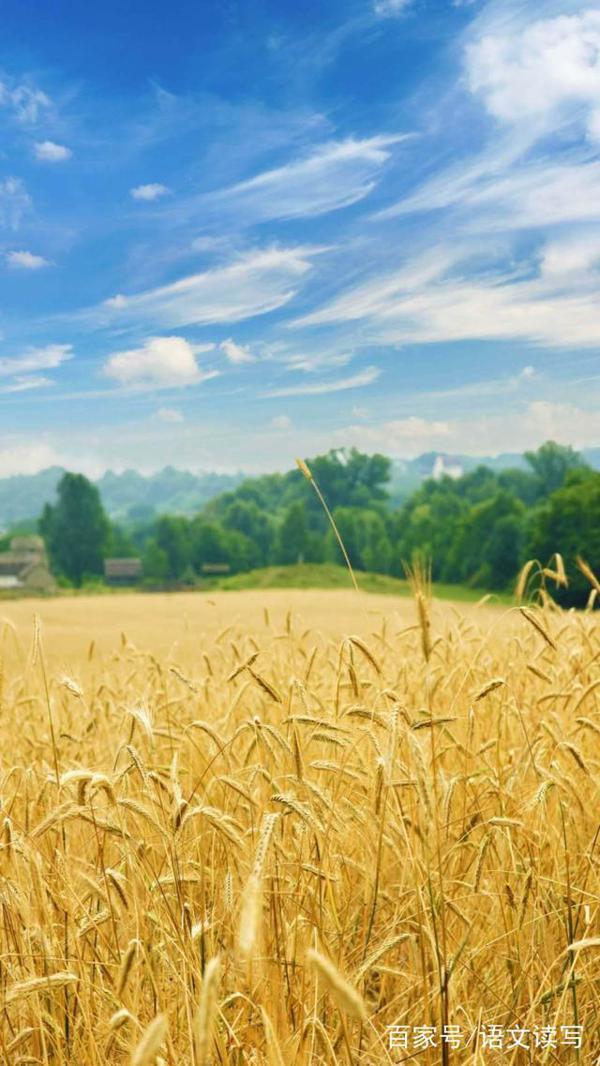 作文怎样令人耳目一新，这里有答案！