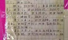 美丽源于一种感动高中作文