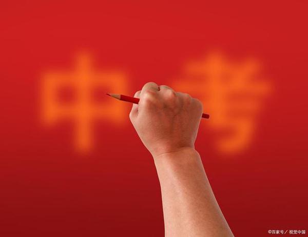 真题作文:若没有柳树,我走不出那段阴霾 5