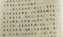 春意-写景的作文800字