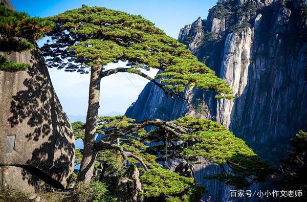 您的孩子还在抄作文吗?快停笔!这8份写作思路赶紧给孩子看看 3