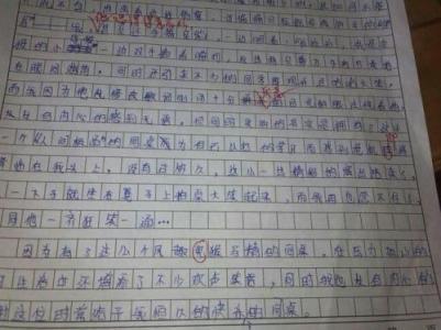 那一抹纯真的微笑作文