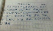 我心爱的“小伙子” 可爱的小猫作文400字