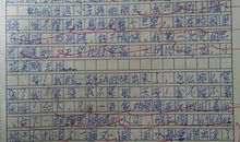 世博游 难忘的世博之旅作文500字