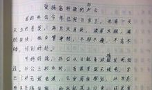 我的同学 小学写人作文300字