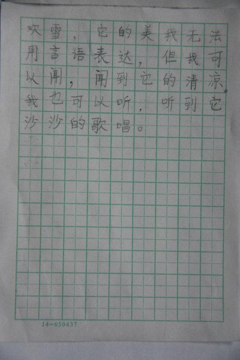 雪 下雪了作文300字
