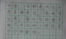 雪 下雪了作文300字