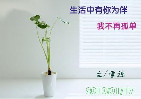 有你不再孤单散文欣赏
