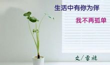 有你不再孤单散文欣赏