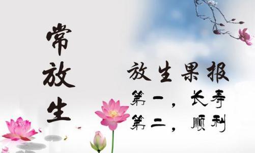 佛语缘分经典语录