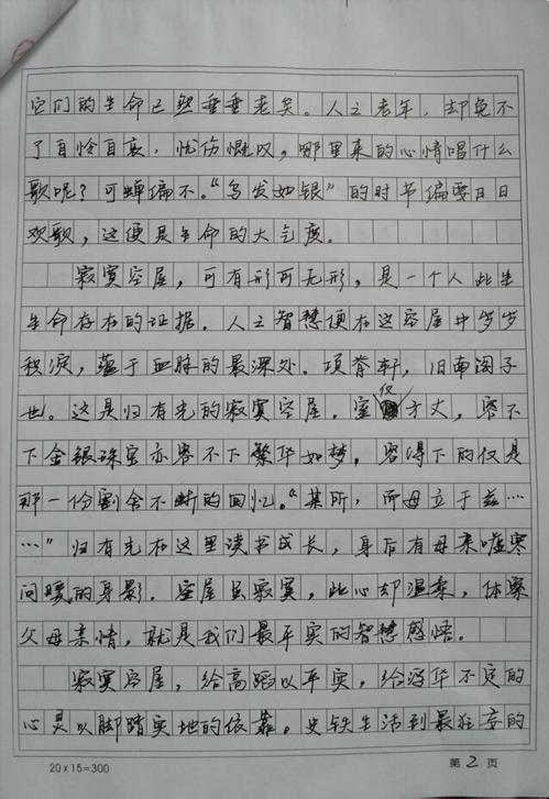 2015年湖南高考满分作文：我是你的眼睛