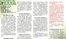 我们的星球优秀作文650字