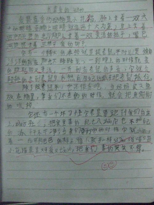 来自动物的报复 想象的作文500字
