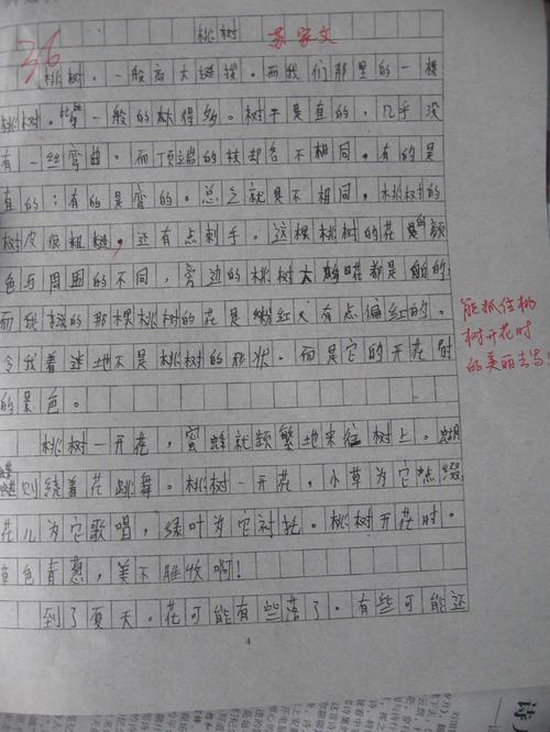 屋前老桃树 写物的作文800字