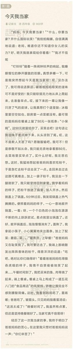 我是小当家 写事的作文900字