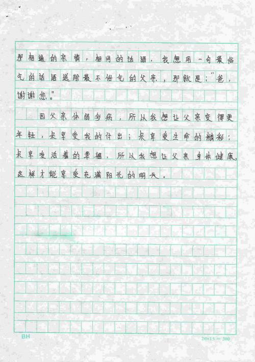 我的心愿 关于愿望的作文600字