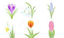 材料作文：春天是千百朵花的笑颜