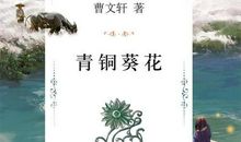 苦难绽放美丽 读《青铜葵花》有感1000字