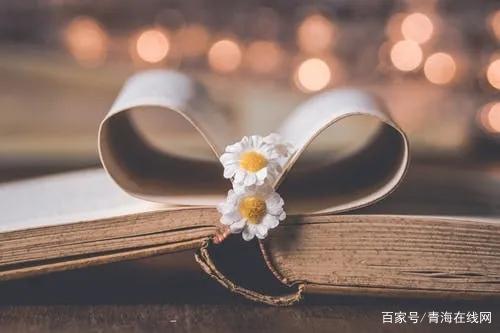 「青海读书·征文」《灿烂千阳》读后感