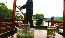 苇荡深处的孩子 读《细米》有感900字