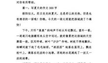 美丽的夏天 喜爱的季节作文300字