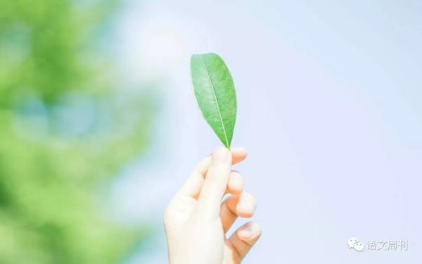 名校高中模拟作文题，附名师审题立意解析及优秀作文示范：《敬畏知识，超越自我》
