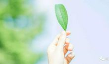 名校高中模拟作文题，附名师审题立意解析及优秀作文示范：《敬畏知识，超越自我》