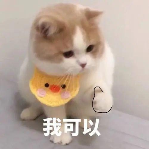 疫情作文怎么写,才能赢得阅卷老师的青睐? 5