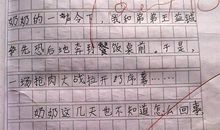 我的同桌 四年级写人作文300字