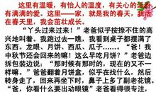 春天里的感悟 春天的感悟作文300字