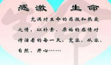 第一次说“谢谢” 让我感激的一件事400字作文