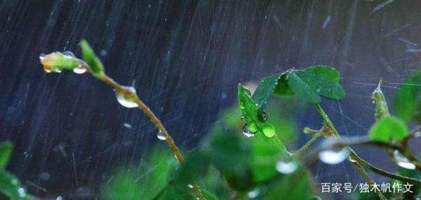 五年级作文:夏雨