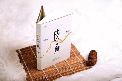 叩问灵魂有回声 读《皮囊》有感900字