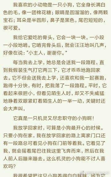 我和“你” 我爱小狗作文500字