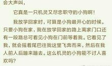 我和“你” 我爱小狗作文500字