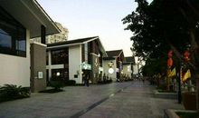 三年级描写家乡的作文