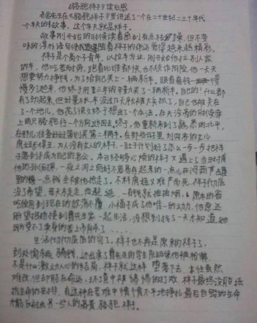 骆驼一样的人 读《骆驼祥子》有感600字