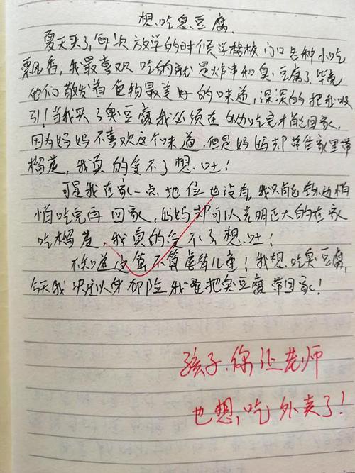 眼睛的诉说-小学想象作文300字