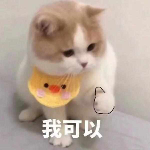 四六级作文分太低？高分作文，先从这一步搞起！