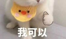 四六级作文分太低？高分作文，先从这一步搞起！