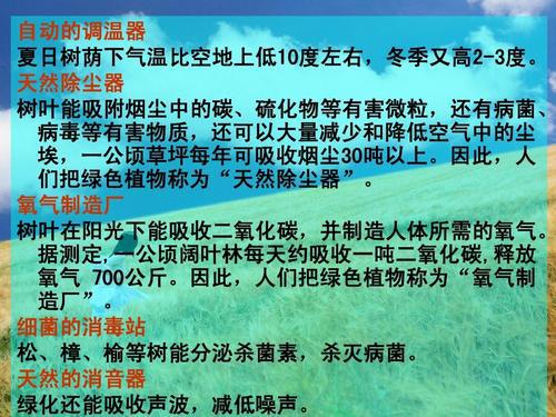 植树节的感动 写事的作文1000字