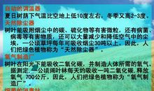 植树节的感动 写事的作文1000字