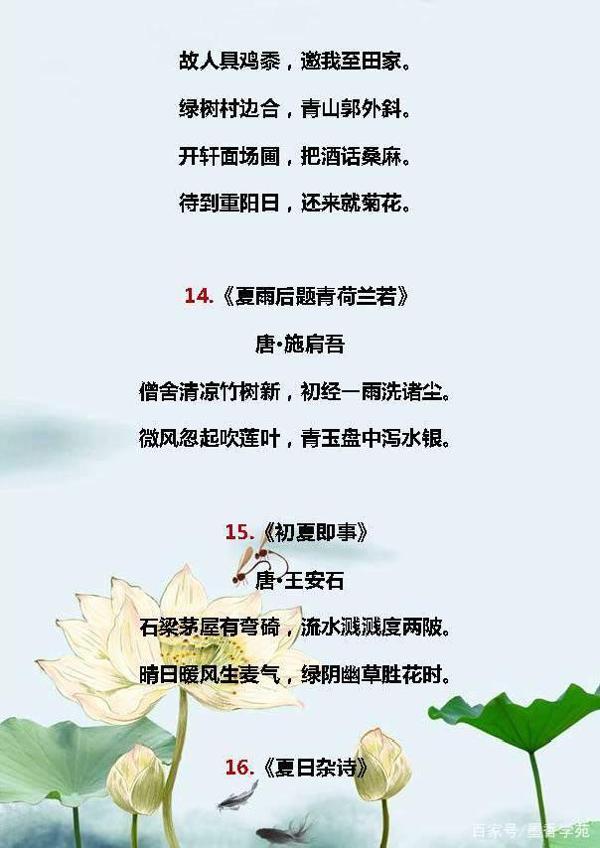 小学语文:描写夏天的好词、好句、好段,合理运用,写出满分作文 13