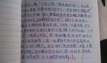 种树 难忘的活动课作文400字